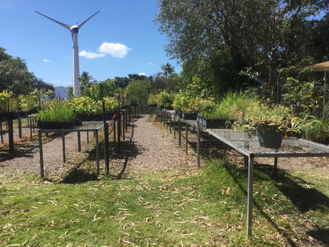 Conservation Volunteers Australia Townsville - Ocean View Nursery - Accommodation in Brisbane 0