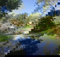 Conservation Volunteers Australia Townsville - Creekwatch - Accommodation in Brisbane