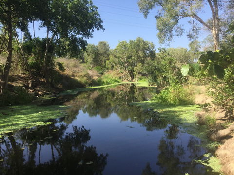 Conservation Volunteers Australia Townsville - Creekwatch - Accommodation in Brisbane 0