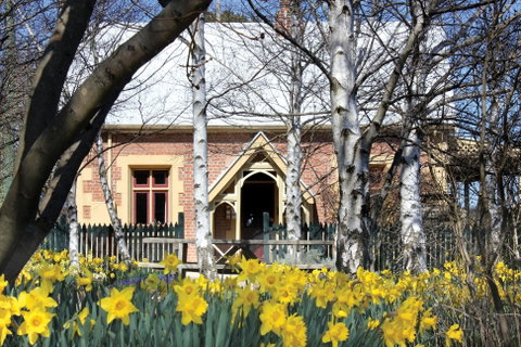 Daffodils At Rydal - Accommodation in Brisbane 0
