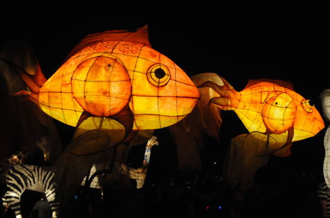 DREAM Festival: Music And Markets Event - Accommodation in Brisbane 2