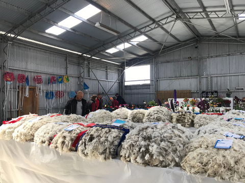 Flinders Island Show - Accommodation in Brisbane 2