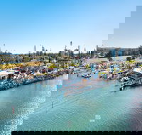 Fred Williams Aquatic Festival - Accommodation in Brisbane