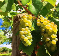 GetawaysSA Bringing Barossa To Your Door - Accommodation in Brisbane