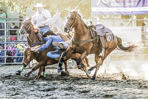 Gundagai Rodeo - Accommodation in Brisbane 0