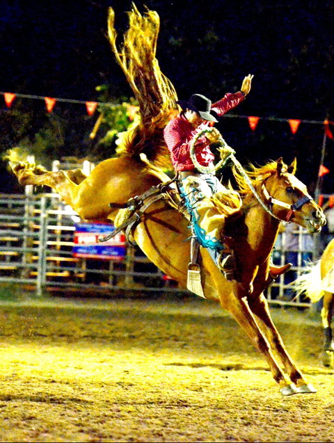 Gundagai Rodeo - Accommodation in Brisbane 1