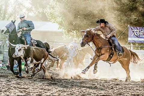 Gundagai Rodeo - Accommodation in Brisbane 2