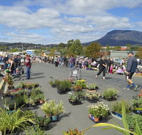 Hobart Showground Sunday Market - Weekly - Accommodation in Brisbane