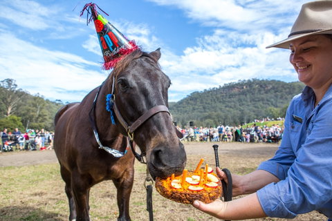 Horses Birthday Festival - Accommodation in Brisbane 0