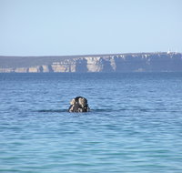 Jervis Bay's Sydney to Hobart Experience - Accommodation in Brisbane