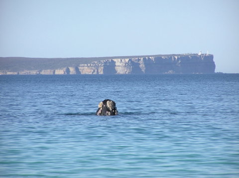 Jervis Bay's Sydney To Hobart Experience - Accommodation in Brisbane 0