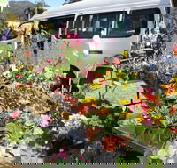Johns River Country Markets - Accommodation in Brisbane