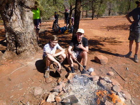 July 2020 Holidays- Forest, Smores & Explore - Accommodation in Brisbane 1