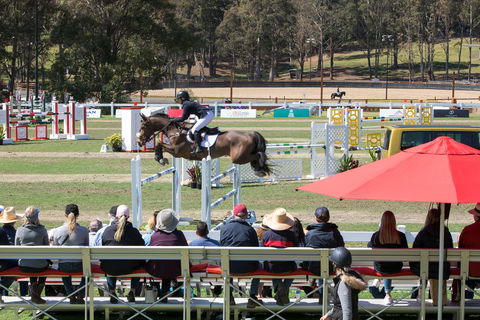 Jumping@Willinga - Accommodation in Brisbane 0