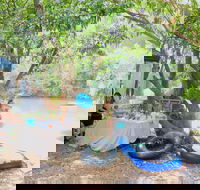 Jungle Love Festival - Accommodation in Brisbane