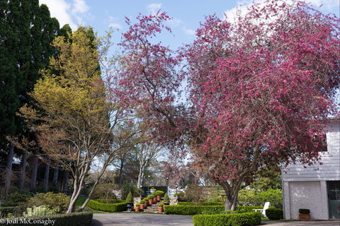 Leura Gardens Festival - Cancelled - Accommodation in Brisbane 0