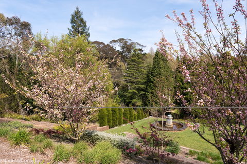 Leura Gardens Festival - Cancelled - Accommodation in Brisbane 2