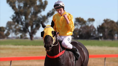 Lockhart Picnic Races - Accommodation in Brisbane 1