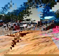 Maleny Wood Expo From Seed to Fine Furniture - Accommodation in Brisbane