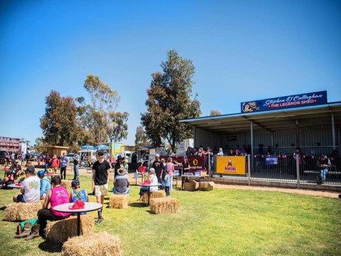 Mathoura Speed Shear And Annual Cancer Fundraiser - Accommodation in Brisbane 0
