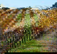 Miners Ridge Wine Tasting - Accommodation in Brisbane