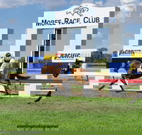 Moree Race Club TAB Race Day - Accommodation in Brisbane