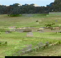 Mount Gambier and District Pony Club Horse Trials 2020 - Accommodation in Brisbane