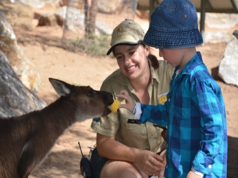 Mums And Cubs! And Dads Too! - Accommodation in Brisbane 0