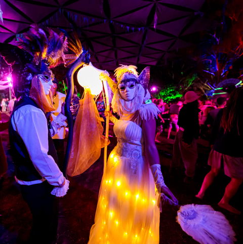 Mushroom Valley Festival - Accommodation in Brisbane 1