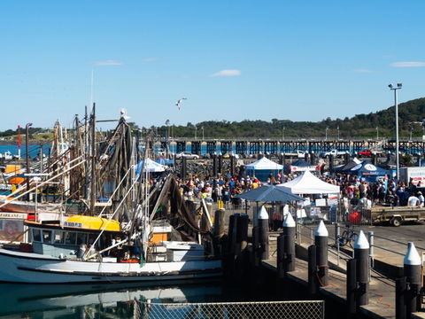 Ocean Harvest Festival - Accommodation in Brisbane 0