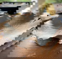 Online live streaming class DIY Clay Hand Building for Beginners - Accommodation in Brisbane