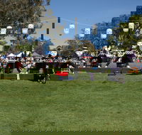 Sakura Matsuri  - Cherry Blossom Festival - in doubt due to Covid-19 - Accommodation in Brisbane