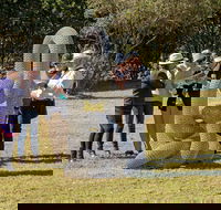 Sculpture for Clyde - Outdoor Exhibition - Accommodation in Brisbane