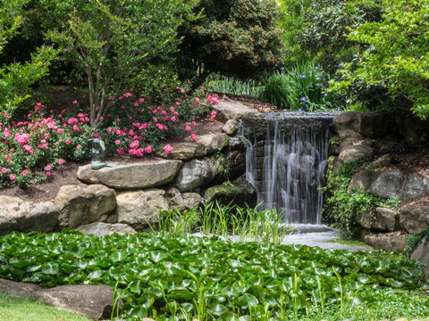 Spring Time At Hunter Valley Gardens - Accommodation in Brisbane 1