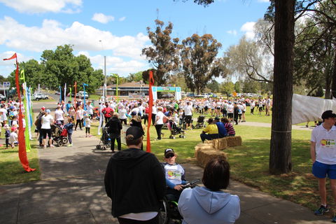 Taste Coleambally- Food And Farm Festival - Accommodation in Brisbane 1