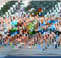 The Canberra Times Marathon Festival - Accommodation in Brisbane