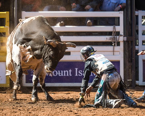 The 2020 Virtual Mount Isa Mines Rodeo - Accommodation in Brisbane 2
