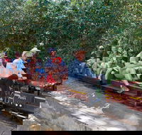 Twilight Run   Willans Hill Miniature Railway - Accommodation in Brisbane