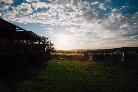 Weekly Truffling At Contentious - Accommodation in Brisbane 0