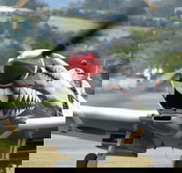 Wings Over Illawarra - Accommodation in Brisbane