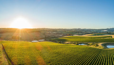 Wine And Food At Altitude - Accommodation in Brisbane 0