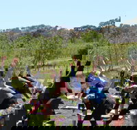 Yoga in the Vines - Accommodation in Brisbane