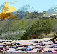 Yoga in the Vines - Accommodation in Brisbane