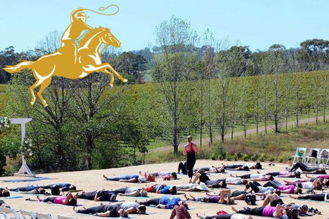 Yoga In The Vines - Accommodation in Brisbane 0