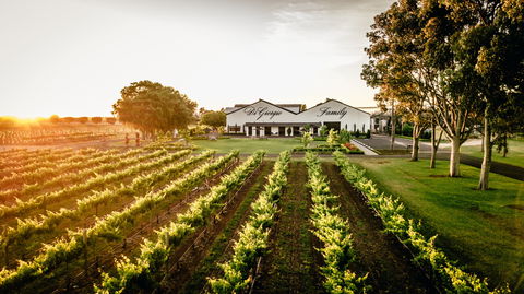 Aged Wine And Vintage Pies - Accommodation in Brisbane 2
