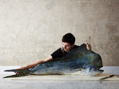 National Photographic Portrait Prize - Accommodation in Brisbane 0