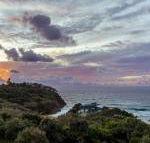 Whale Watch Ocean Beach Resort