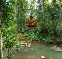 The Canopy Rainforest Treehouses and Wildlife Sanctuary - Accommodation in Brisbane