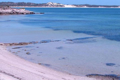 Southern Blue Apartments - Accommodation in Brisbane 6