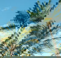 Base Magnetic Island Hostel - Accommodation in Brisbane